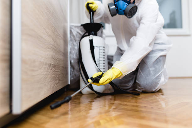 Best Cockroach Control Services  in Dodson Branch, TN