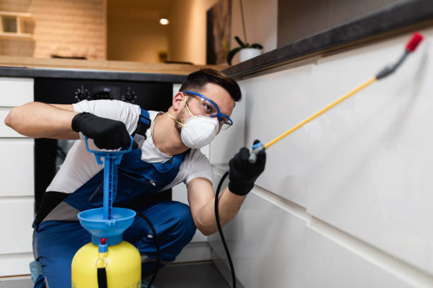 Best Flea Control Services  in Dodson Branch, TN