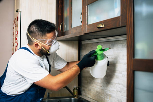 Reliable Dodson Branch, TN Pest Control Solutions