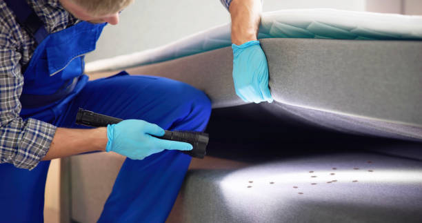 Best Pest Removal Services  in Dodson Branch, TN